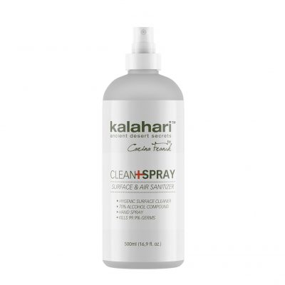 Clean Spray Sanitizer 500ml